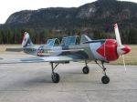 Yakovlev Yak-52 for sale