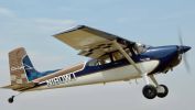 Cessna 180 for sale 