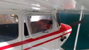 Cessna 170 for sale 