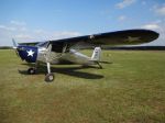 Cessna 140 for sale 